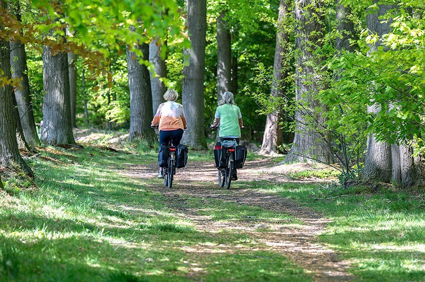 Fietsers bospad