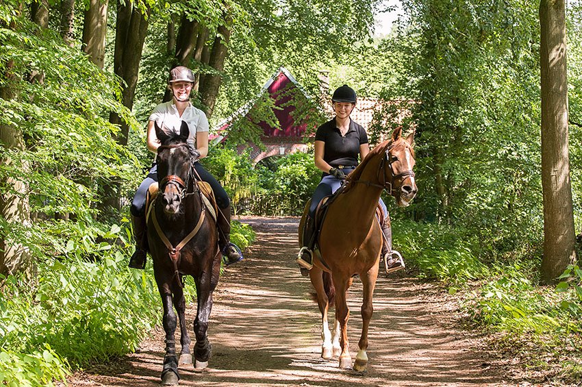 ruiters paardrijden in Winterswijk